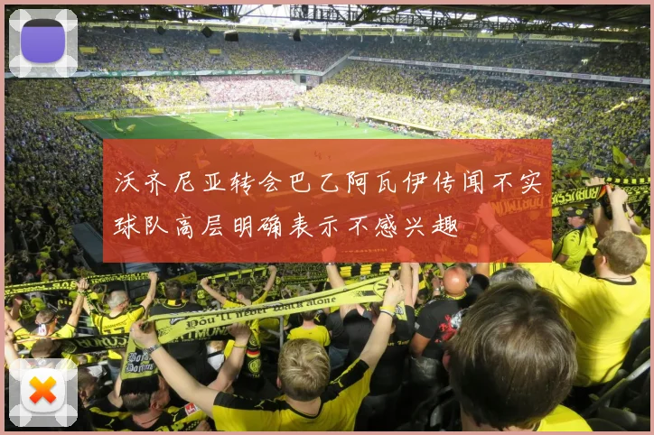 沃齐尼亚转会巴乙阿瓦伊传闻不实球队高层明确表示不感兴趣